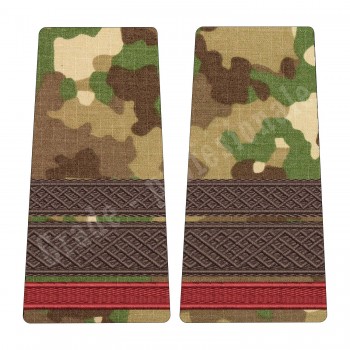 Grade Sergent Major Student - Forte Terestre combat