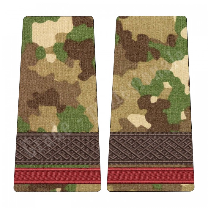 grade sergent student forte terestre brodate pe suport textil in culori combat forte terestre