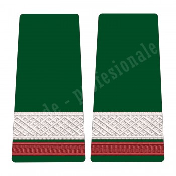 Grade Sergent Student - Forte Terestre oras 