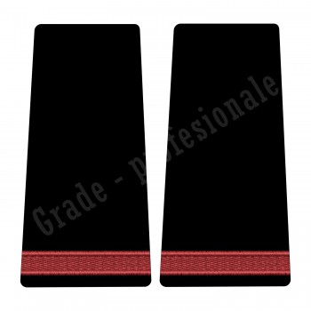 Grade Student Negradat - Forte Terestre oras 