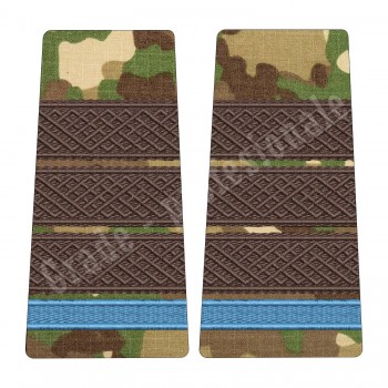 Grade Elev Plutonier Adjutant - Forte Terestre combat (Colegii Militare)