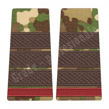 Grade Plutonier Adjutant Student - Forte Terestre combat