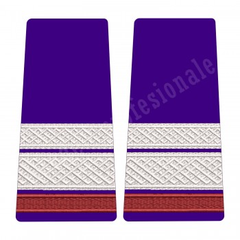 Grade Sergent Major Student - Forte Terestre oras 