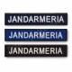 Ecuson "JANDARMERIA" piept