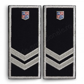 Grade Politia Locala V3