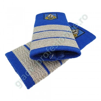 Grade Plutonier Adjutant jandarmi